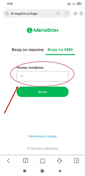 Соответственно выбираем вход по SMS